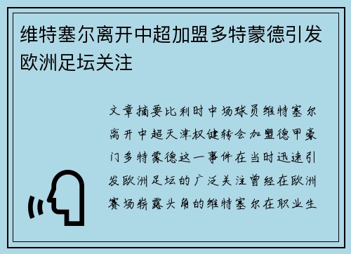 维特塞尔离开中超加盟多特蒙德引发欧洲足坛关注